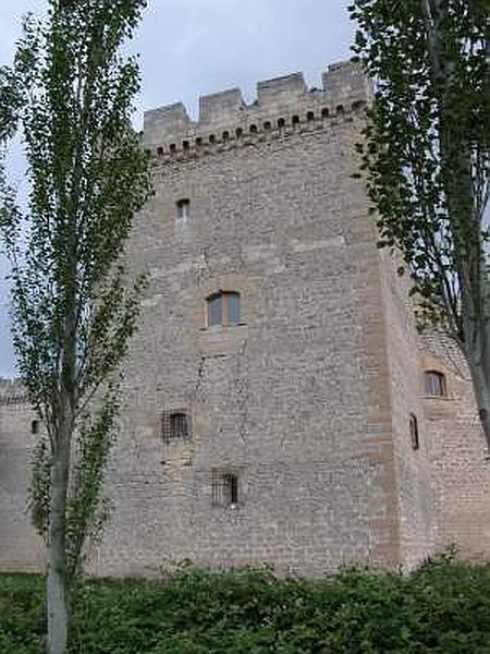 Castillo de Sotopalacios