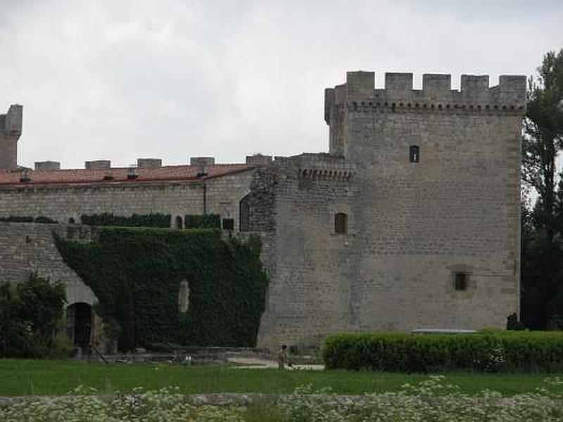 Castillo de Sotopalacios