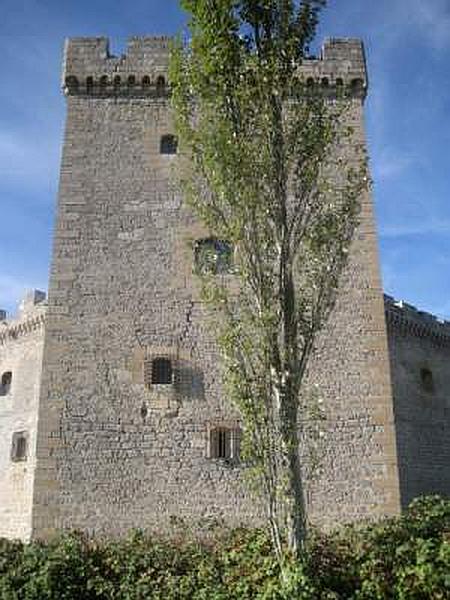 Castillo de Sotopalacios