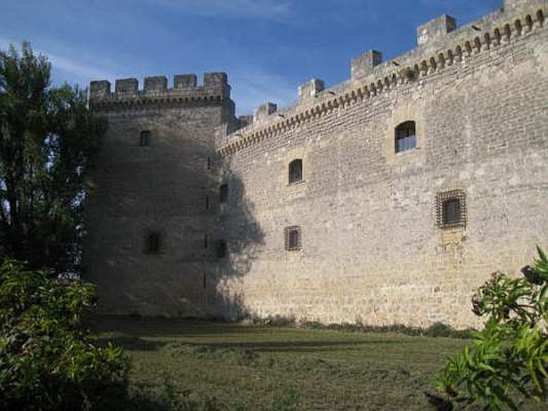 Castillo de Sotopalacios