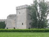 Castillo de Sotopalacios