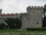 Castillo de Sotopalacios