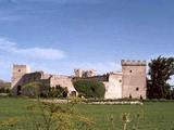 Castillo de Sotopalacios