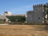 Castillo de Sotopalacios