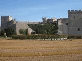 Castillo de Sotopalacios