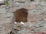 Castillo de Malvecino