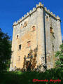 Torre de Olmosalbos