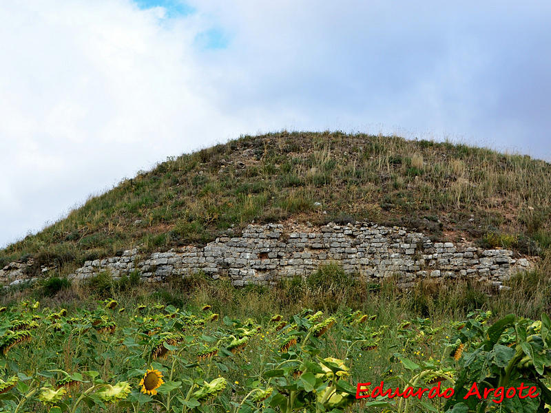 Castillo de Revillalcón