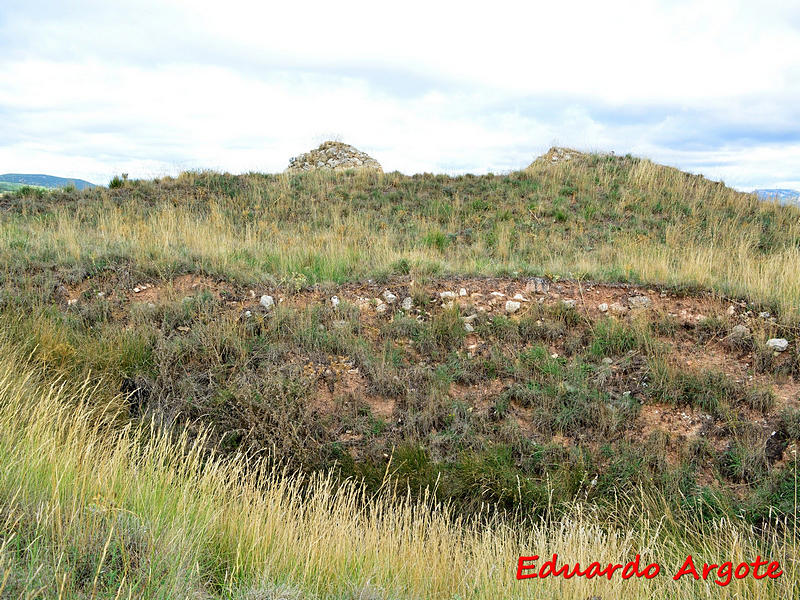 Castillo de Revillalcón