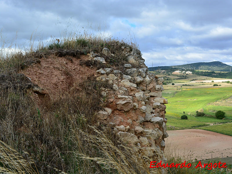 Castillo de Revillalcón