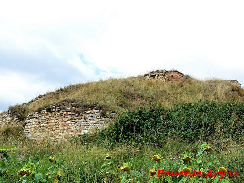 Castillo de Revillalcón