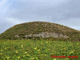 Castillo de Revillalcón