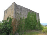 Torre de los Bonifaz