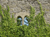 Torre de los Bonifaz