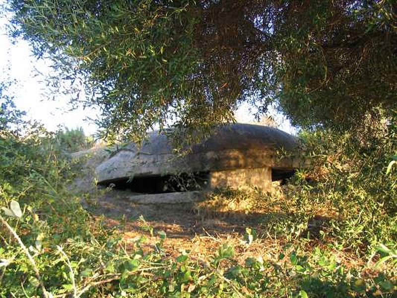 Imagen de Nido de ametralladoras 264