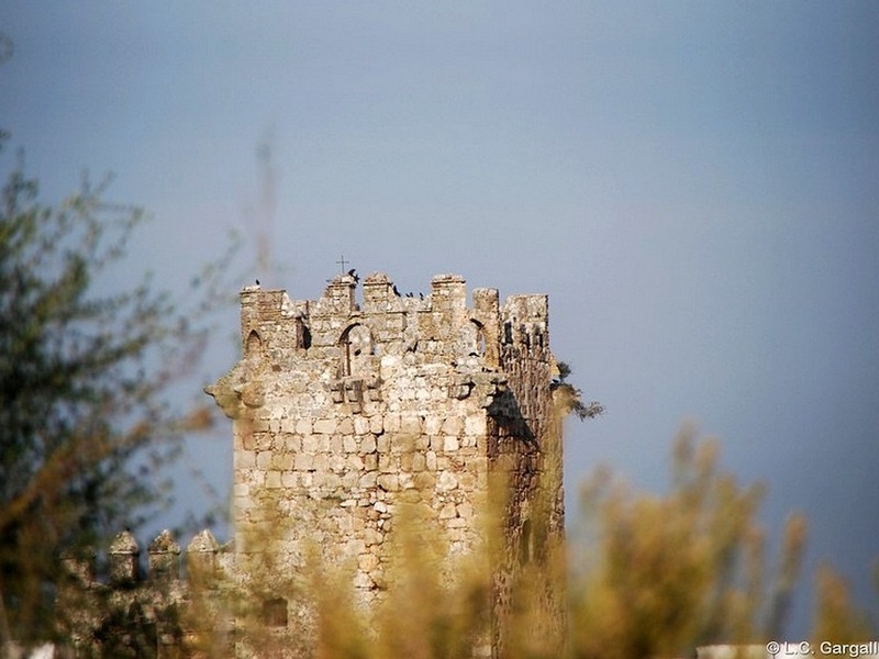 Castillo de Melgarejo