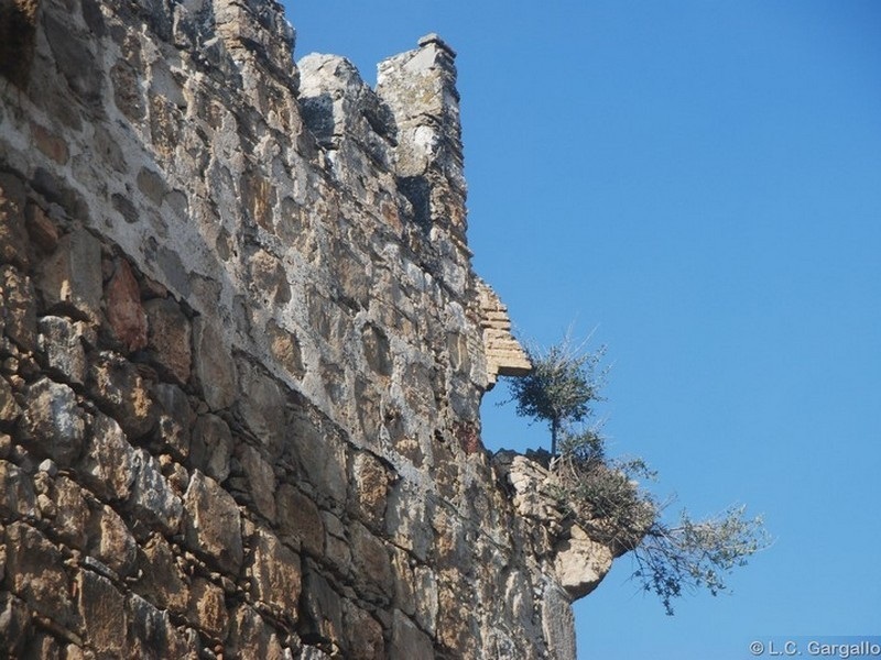 Castillo de Melgarejo