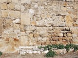 Castillo de Melgarejo