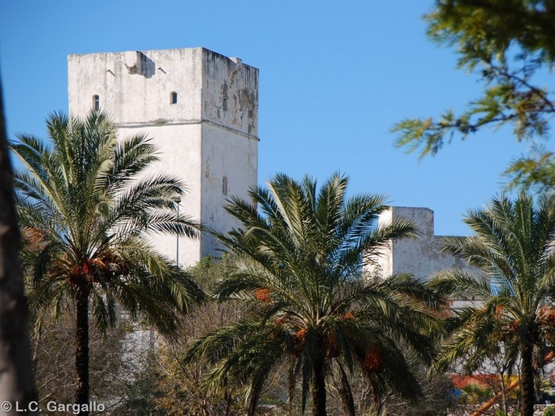 Torre Alta