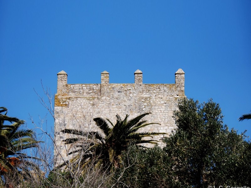 Castillo de Gigonza