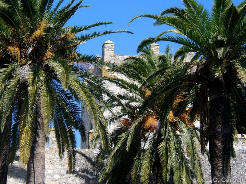 Castillo de Gigonza