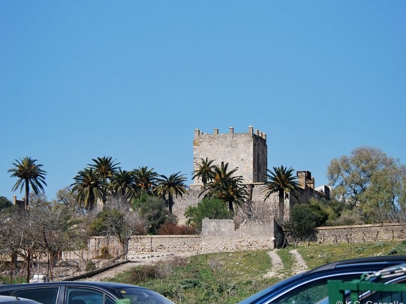 Castillo de Gigonza