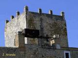 Castillo de Gigonza