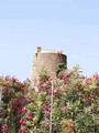 Torre Nueva de Guadiaro