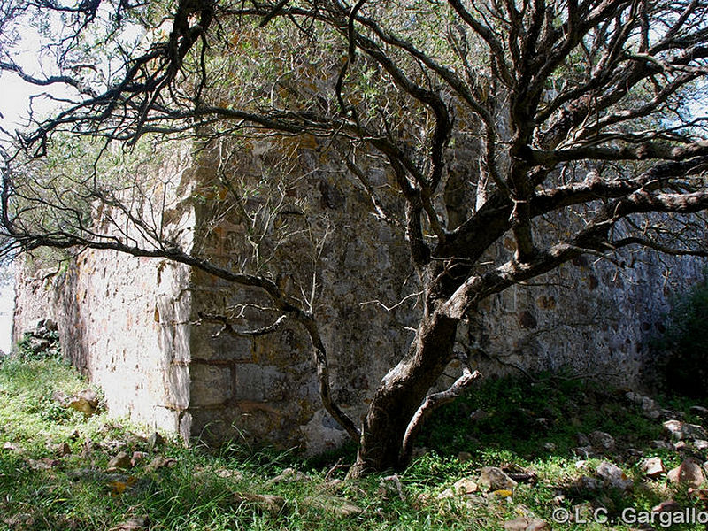 Torre de Torregrosa