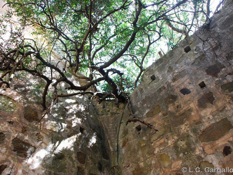 Torre de Torregrosa