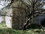 Torre de Torregrosa