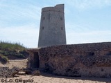 Torre del Palmar