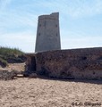 Torre del Palmar