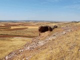 Castillo de Eznavejor