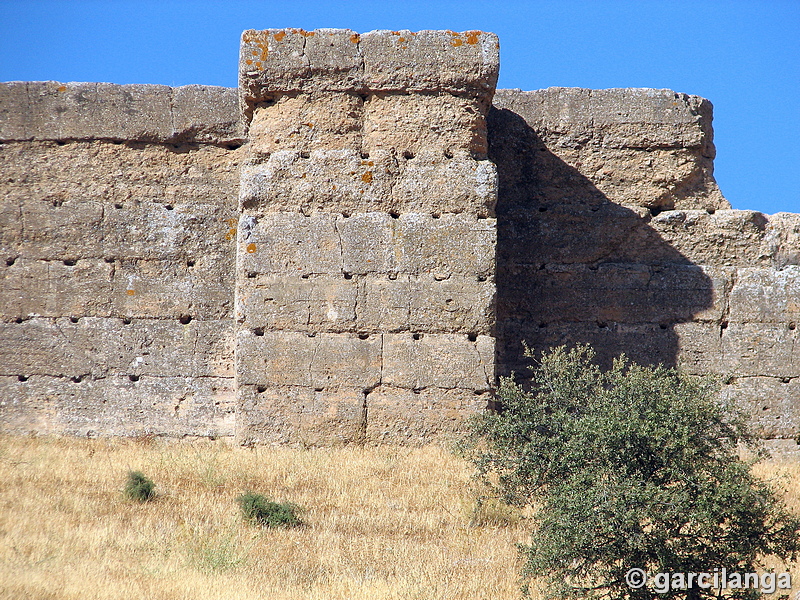 Castillo de El Vacar