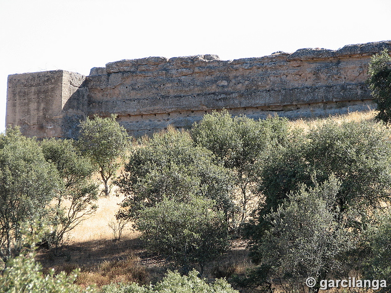 Castillo de El Vacar