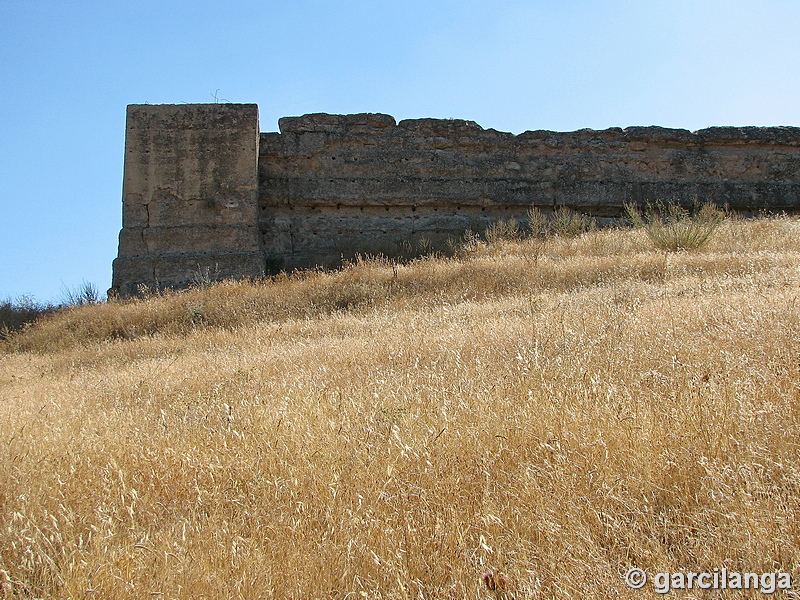 Castillo de El Vacar