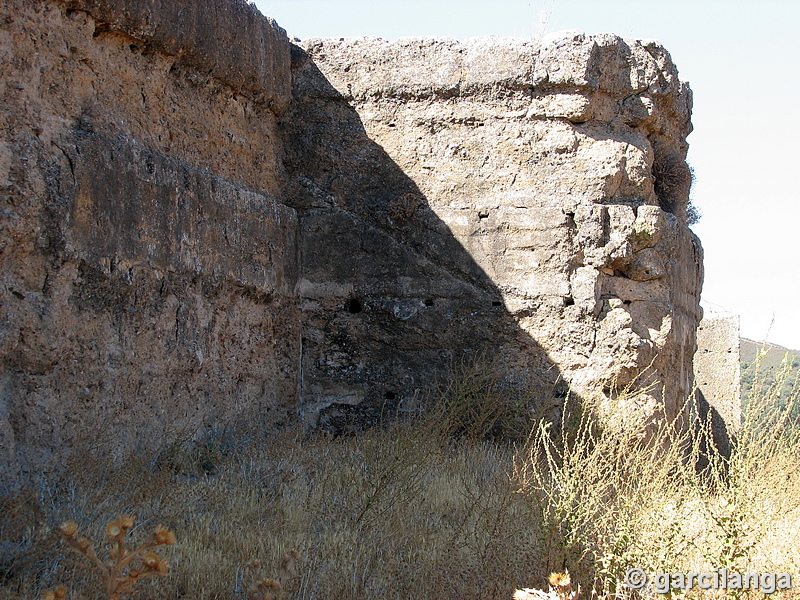 Castillo de El Vacar