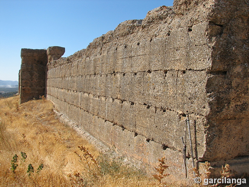 Castillo de El Vacar