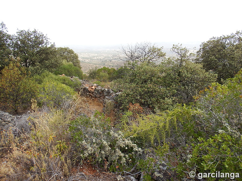 Trincheras de la Loma de Buenavista