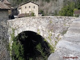 Puente medieval de Beget