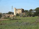 Torre Roja