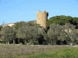 Torre de Santa Margarita