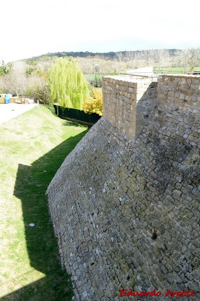 Castillo de Palol de Revardit