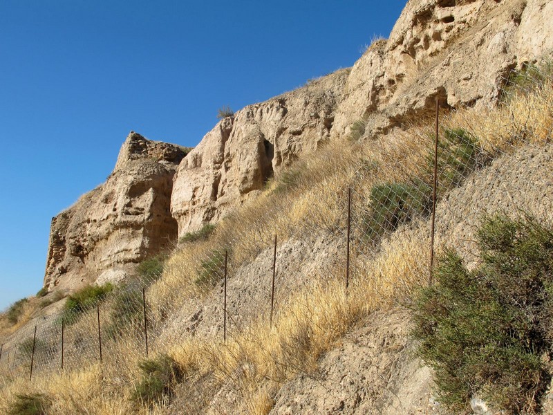 Castillo de Bácor-Olivar