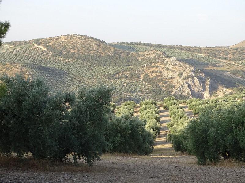 Torre de la Gallina