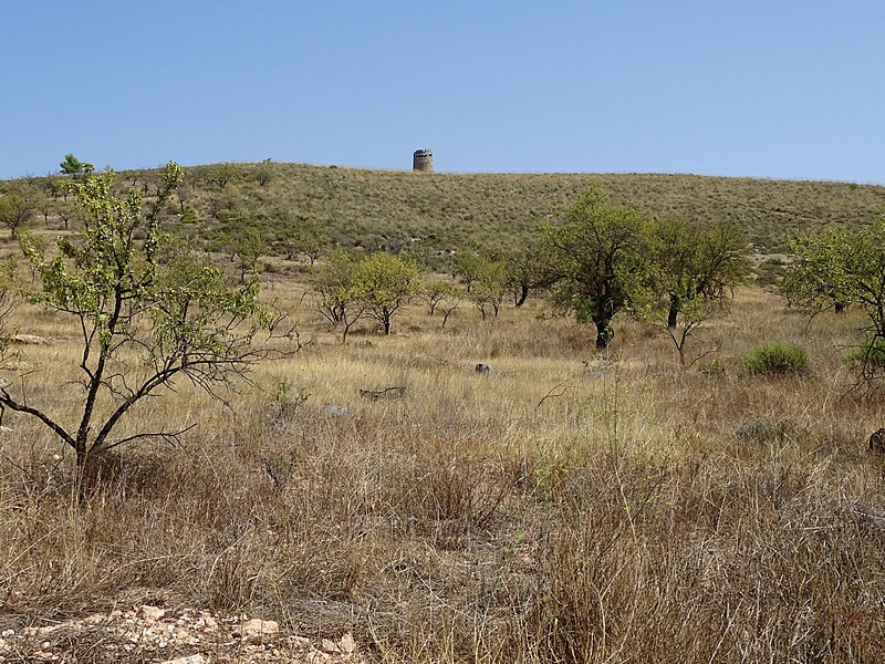 Atalaya de Cónchar