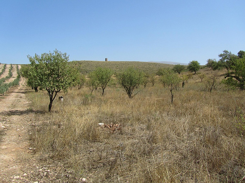 Atalaya de Cónchar