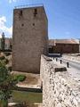 Torreón del Alamín