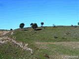 Muralla urbana de Peñahora